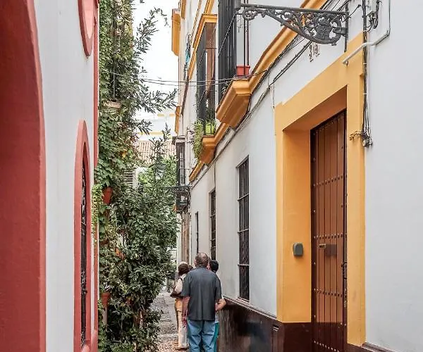 Susona - Oasis De Paz En Barrio Santa Cruz